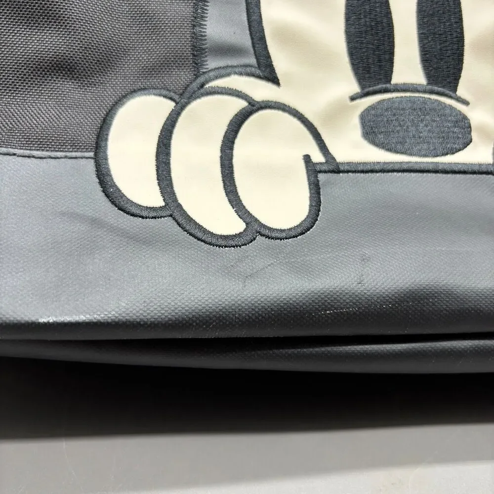 Igloo disney insulated